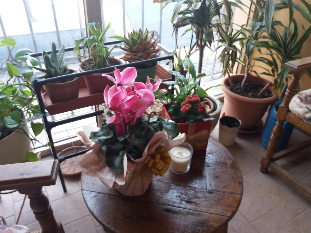 פיזה "La Maison Del Corso" Hospitality מראה חיצוני תמונה